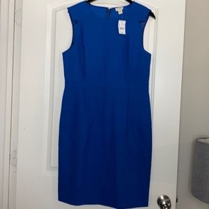 J Crew NWT royal blue sleeveless dress